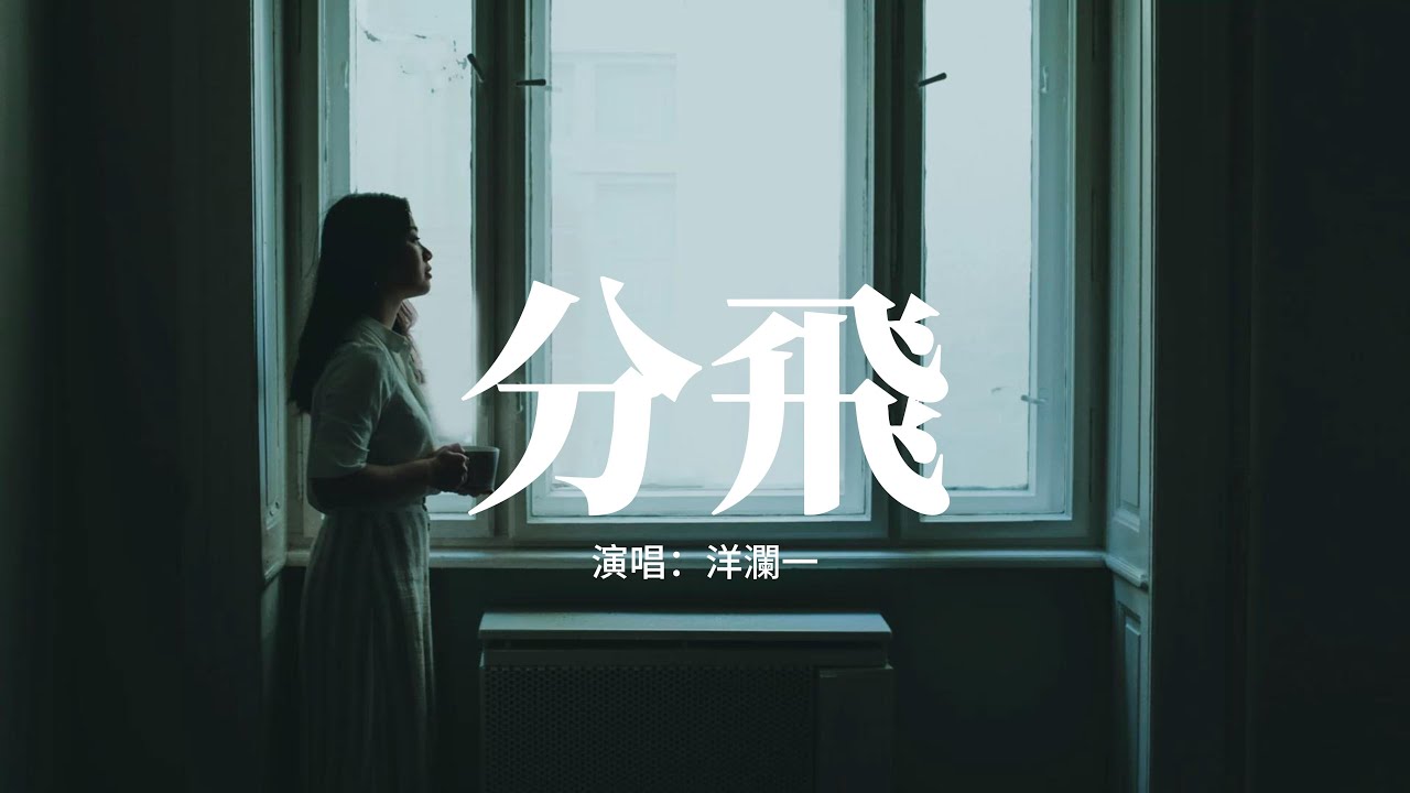 洋瀾一 - 分飛『雨紛飛 飛在天空裡是我的眼淚，淚低垂 垂在手心裡是你的餘味，誰瞭解 真心的付出換來是離別，我知道 愛過後會心碎。』【動態歌詞MV】