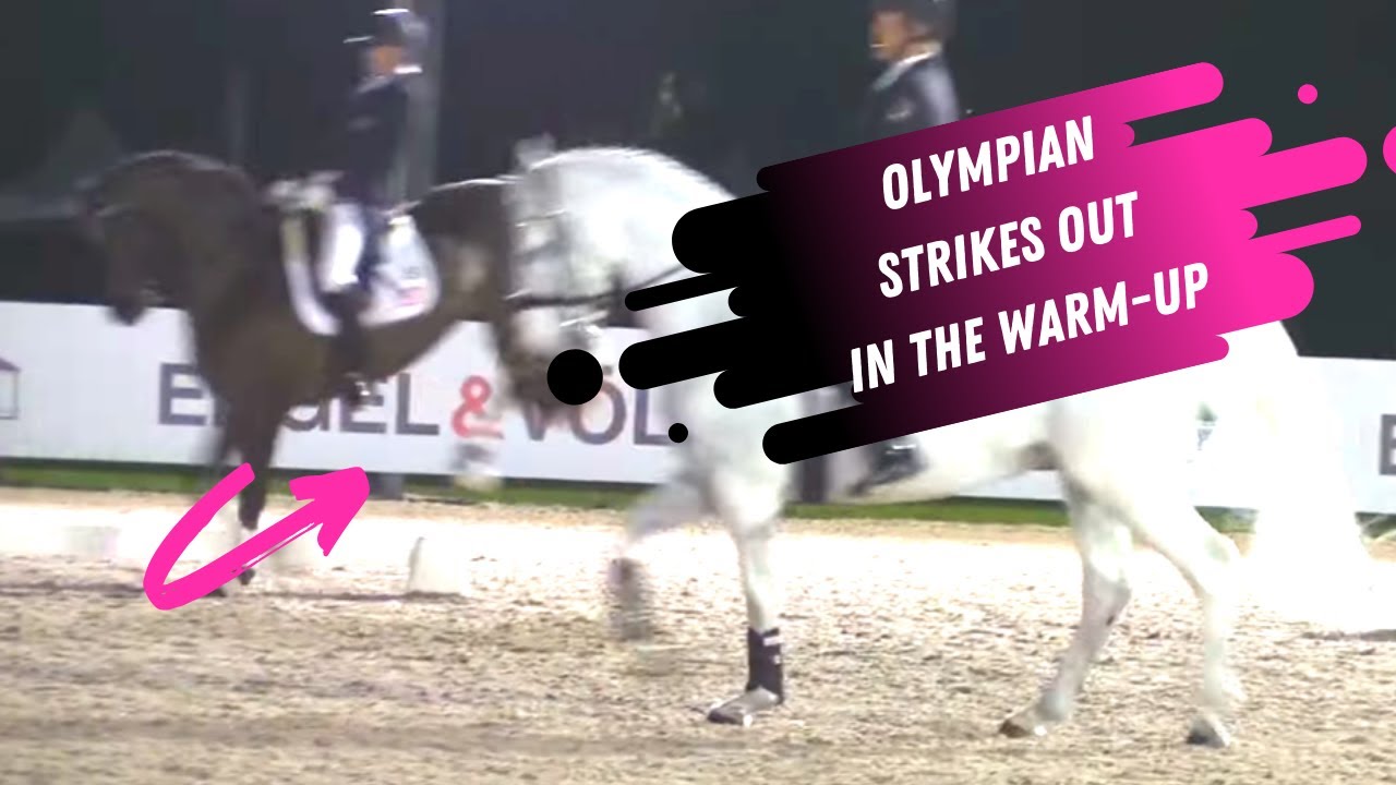Olympian Strikes Out In The Grand Prix Dressage Warm-Up: Olympians Jan Ebeling and Jacqueline Brooks