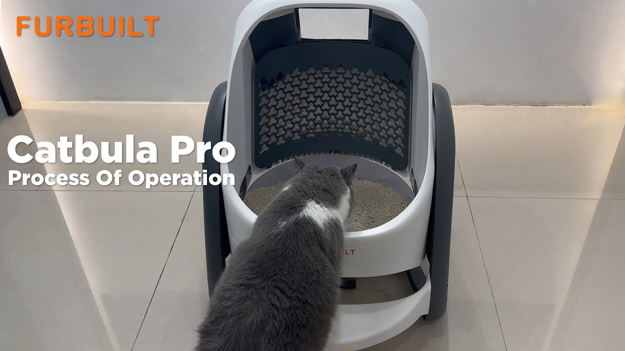 Catbula Pro Operation Demo