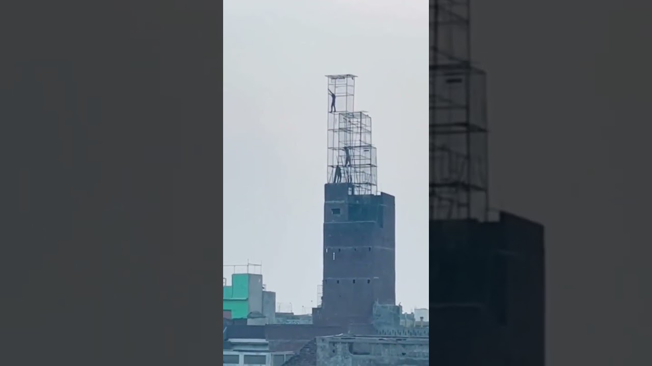 bhai Itni Uchi Jaal 😱😱 #pigeon #kabootar #shorts #kabutar #trending