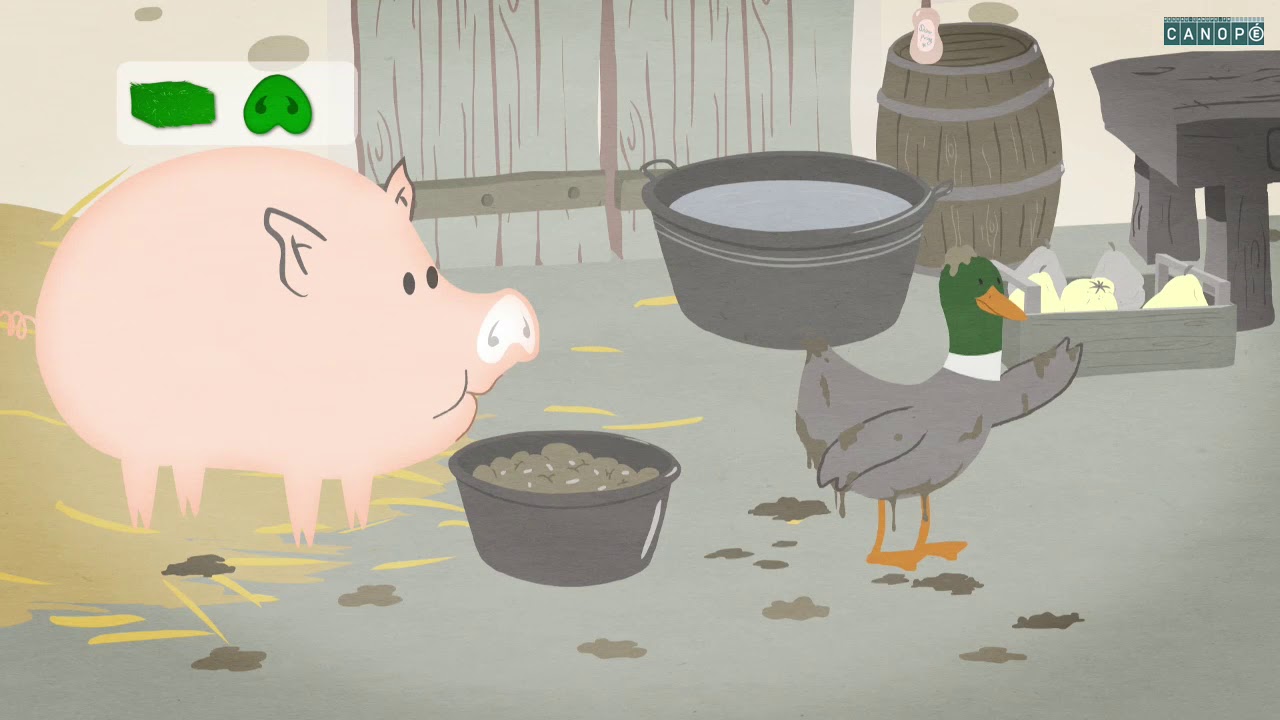 LE SON  [ wɛ̃ ]  en français (oin). Comment le prononcer et l'écrire ?#coliglote