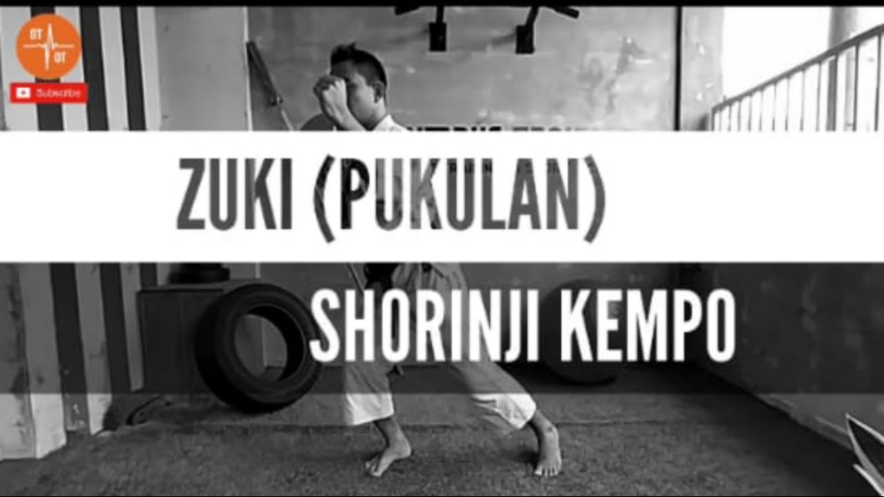 Berlatih Zuki (Pukulan) Shorinji Kempo