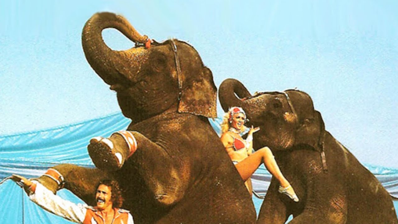 Gli elefanti presentati da Roy & Elaine Wells - Great American Circus Japan (1984)