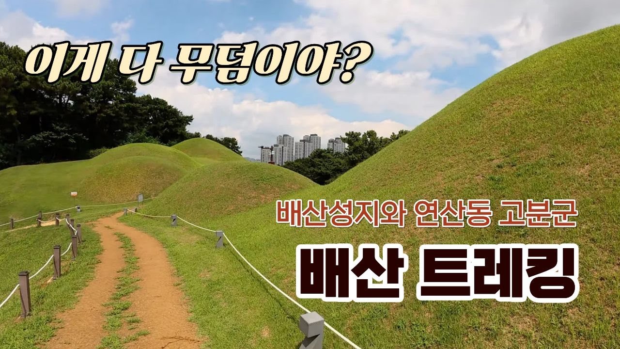 부산 한복판에 웬 무덤이 이렇게?｜연산동 고분군 & 배산 트래킹 | 불꽃축제 명당