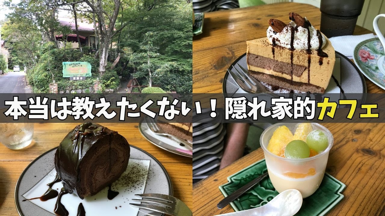 本当は教えたくない！隠れ家的カフェが最高だった件｜アルフォンソカフェ/新城市