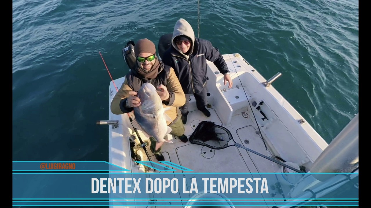 DENTEX DOPO LA TEMPESTA