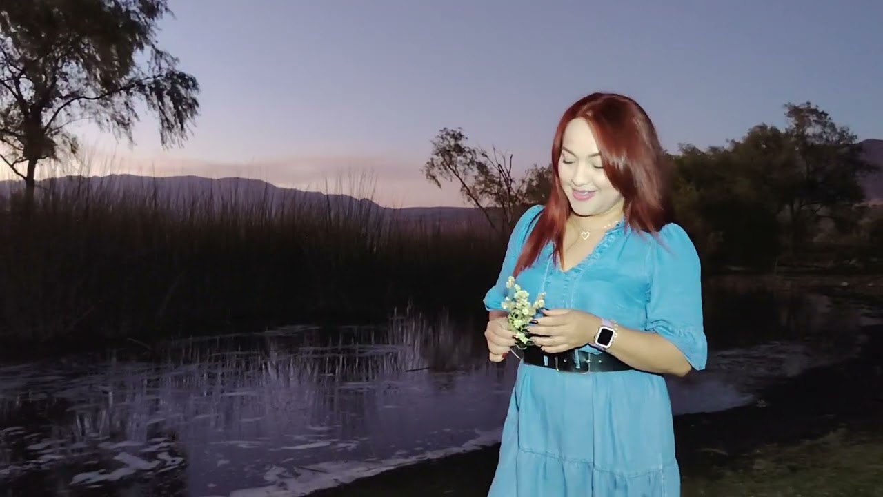 Banda Carretero  paloma azul ( video oficial)