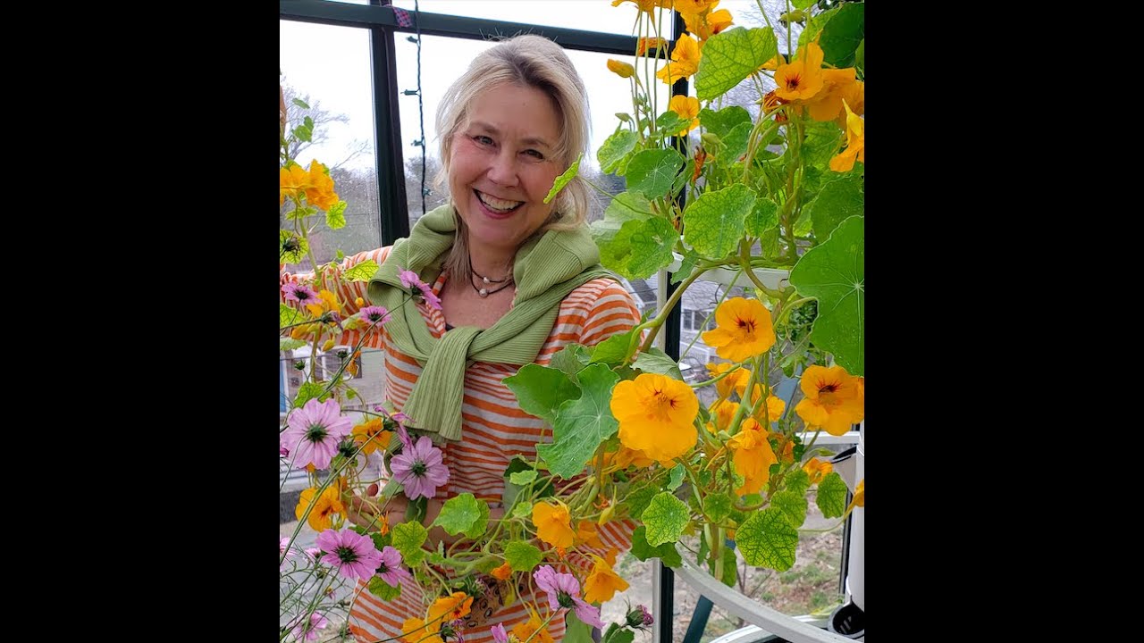 Nasturtium Pesto Recipe