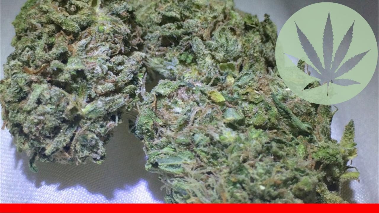 Cali Kush - All About This Strain