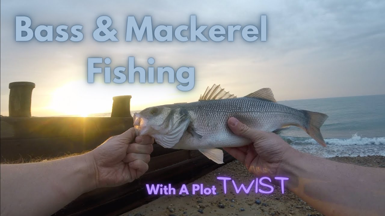 Bass & Mackerel Fishing (With A Plot Twist)