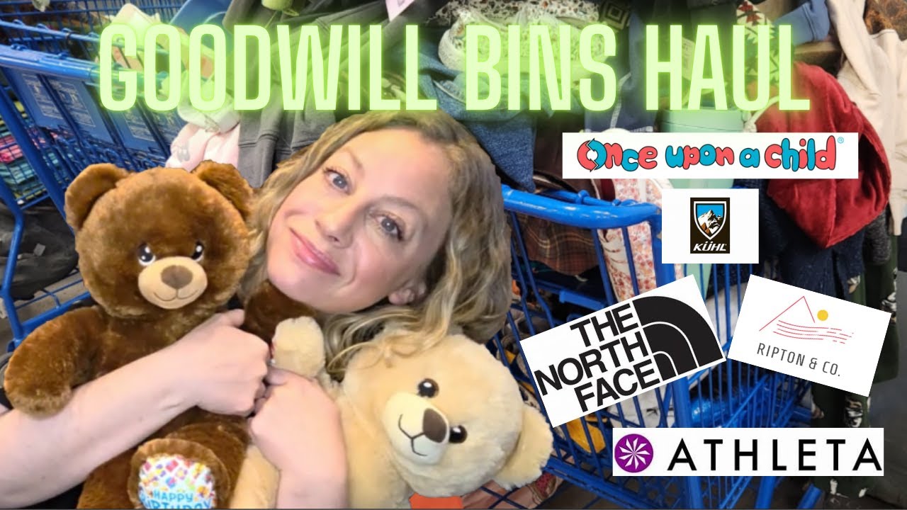 Goodwill Bins Haul January 2026