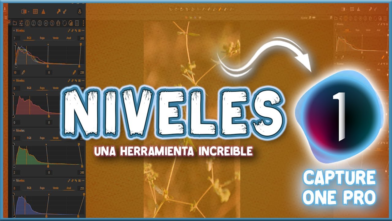 🔴NIVELES en CAPTURE ONE PRO/TUTORIAL 2024.