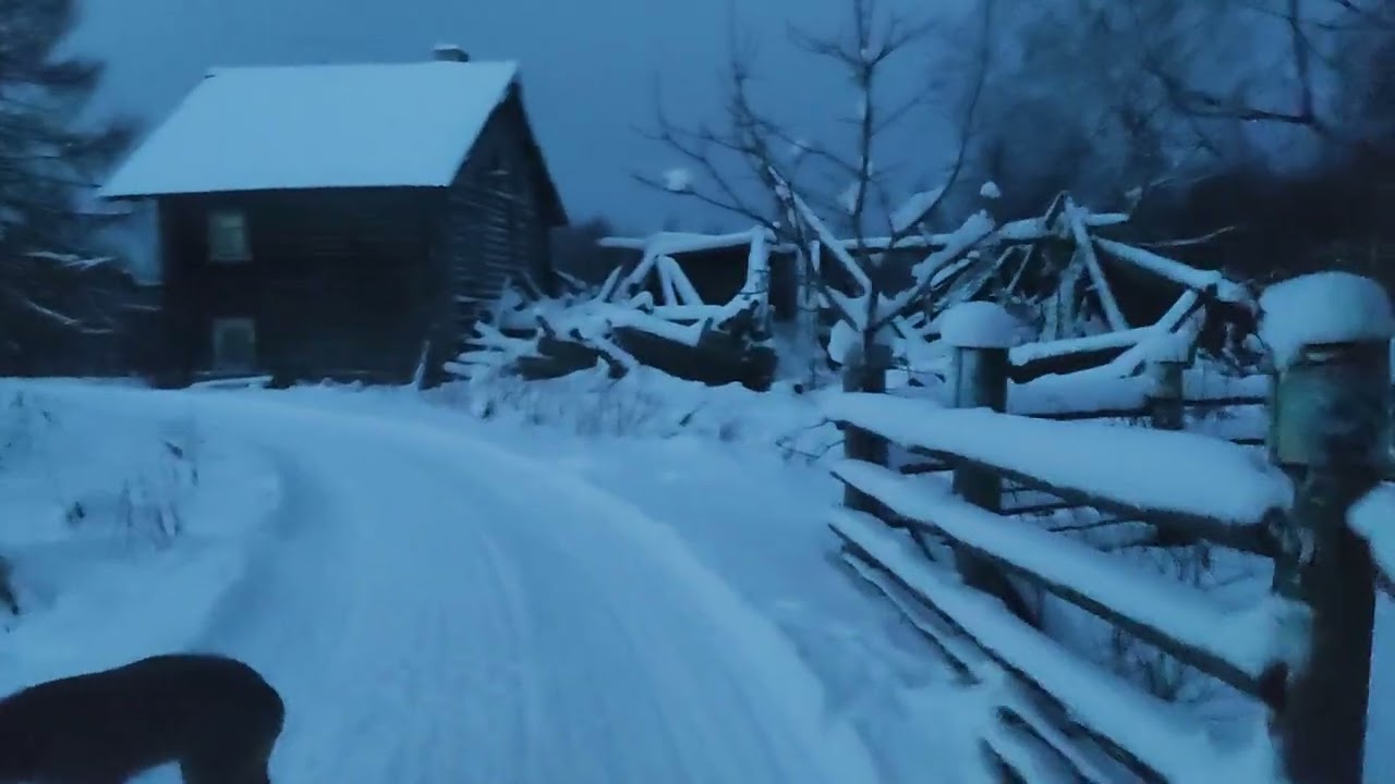 Утро в деревне 