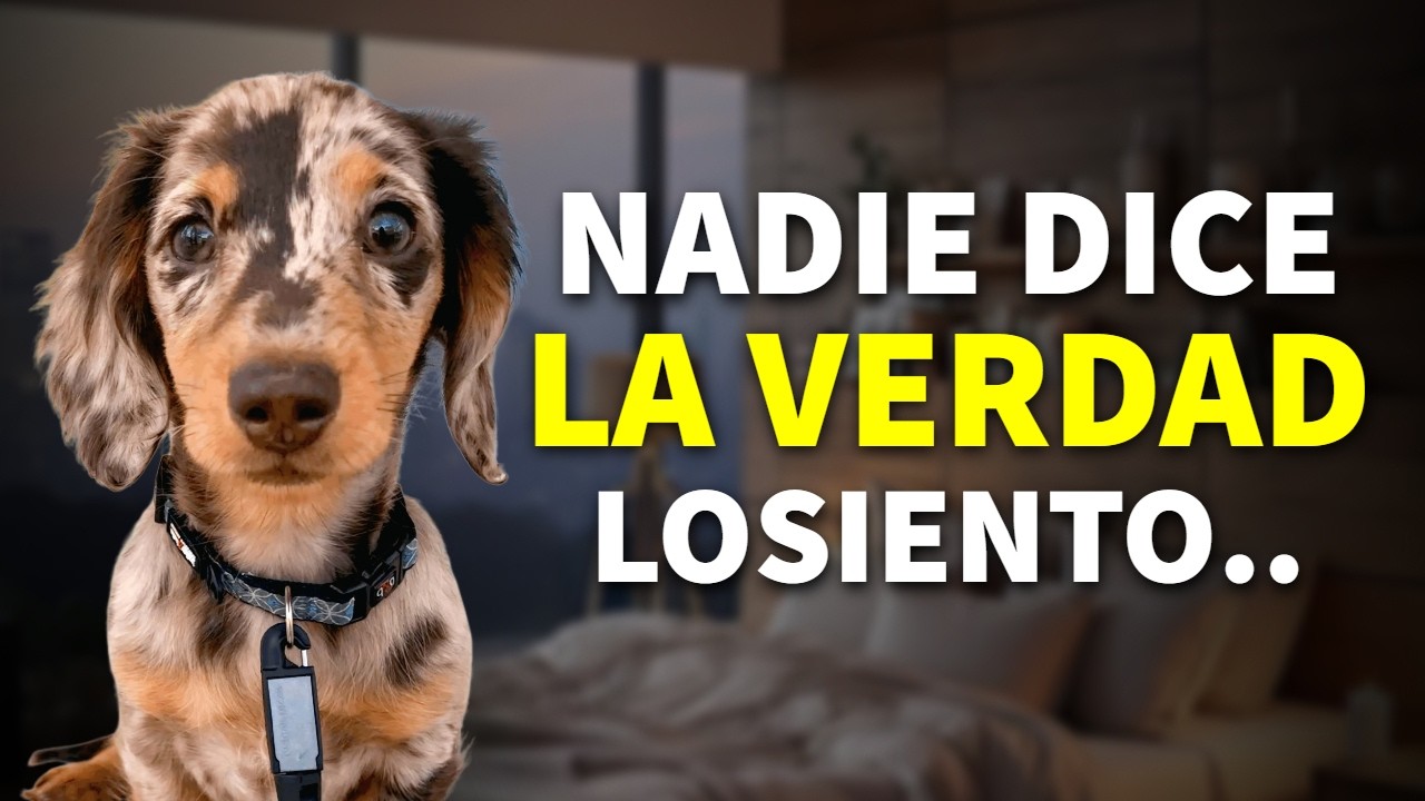 El lado Oscuro de tener un Teckel que Nadie te Avisa