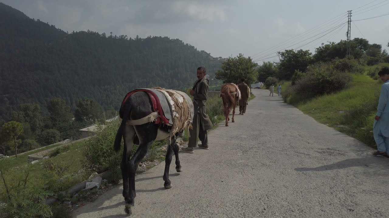 GALI BANIYA | ABBOTTABAD | 4K