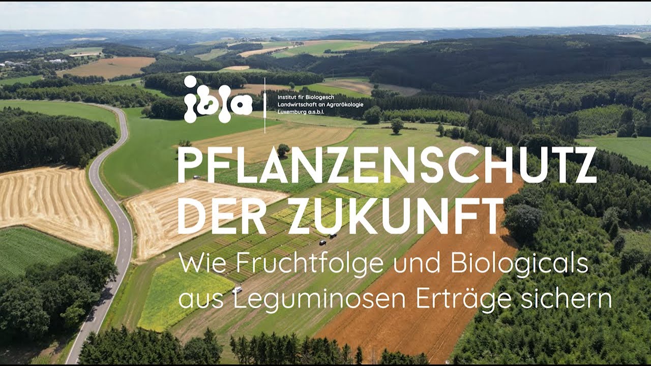 Pflanzenschutz der Zukunft: Wie Fruchtfolge und Biologicals aus Leguminosen Erträge sichern