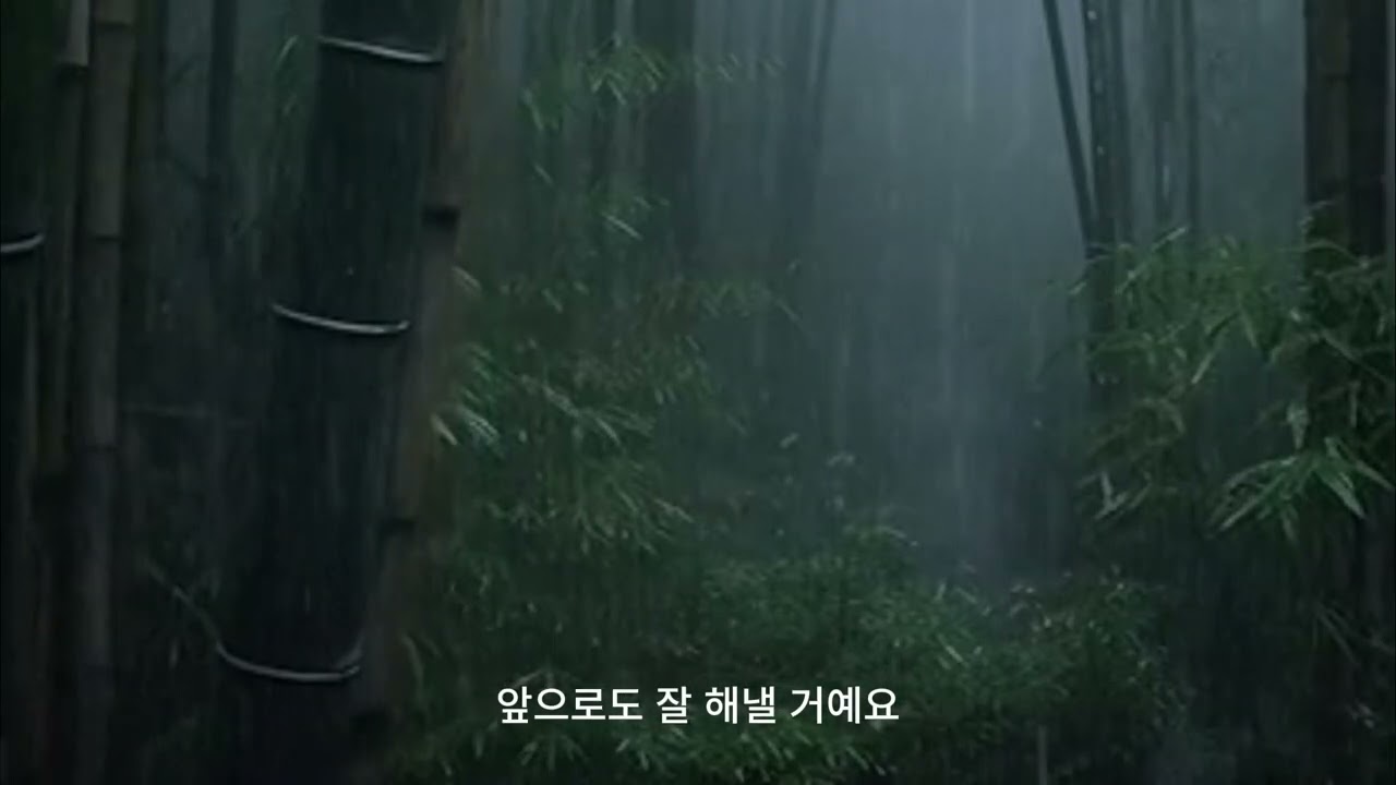 🌿“흔들려도 꺾이지 않는 마음 | 안개 속 대나무 숲의 비 이야기”