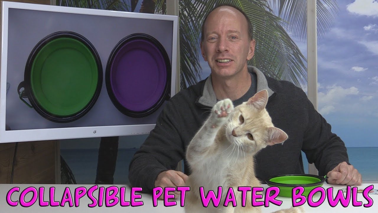 Collapsible Dog Bowl, Hiking Dog Bowl for Dogs and Cats
