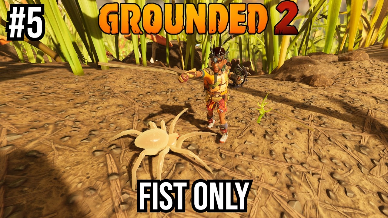 Fists Only Day 5 | Grounded 2