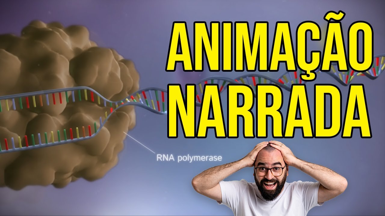 Anima&ccedil;&atilde;o da transcri&ccedil;&atilde;o e da tradu&ccedil;&atilde;o | Narra&ccedil;&atilde;o Prof. Gui