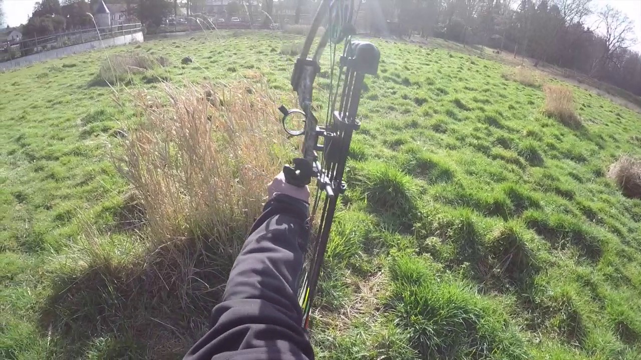 Street Bowhunting Nutria - Chasse à l'arc aux ragondins en ville
