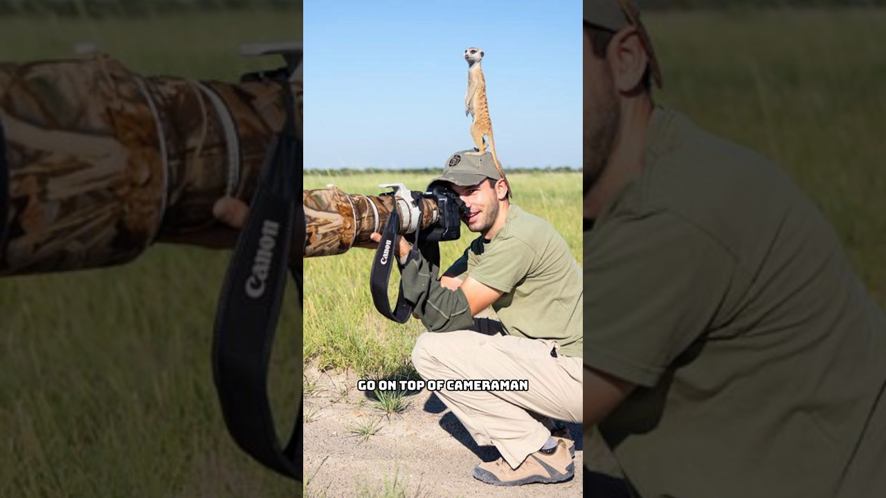 THE CAMERAMAN NEVER DIES!