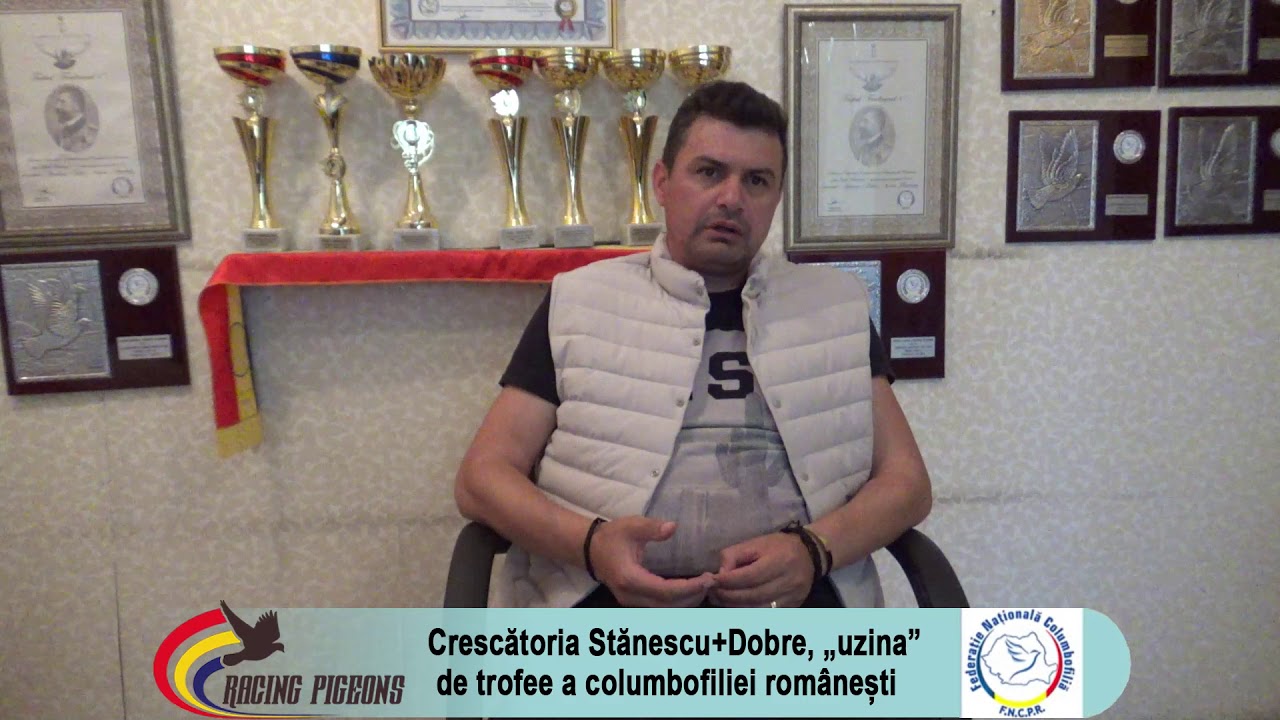 Crescătoria Stănescu+Dobre, „uzina” de trofee a columbofiliei românești
