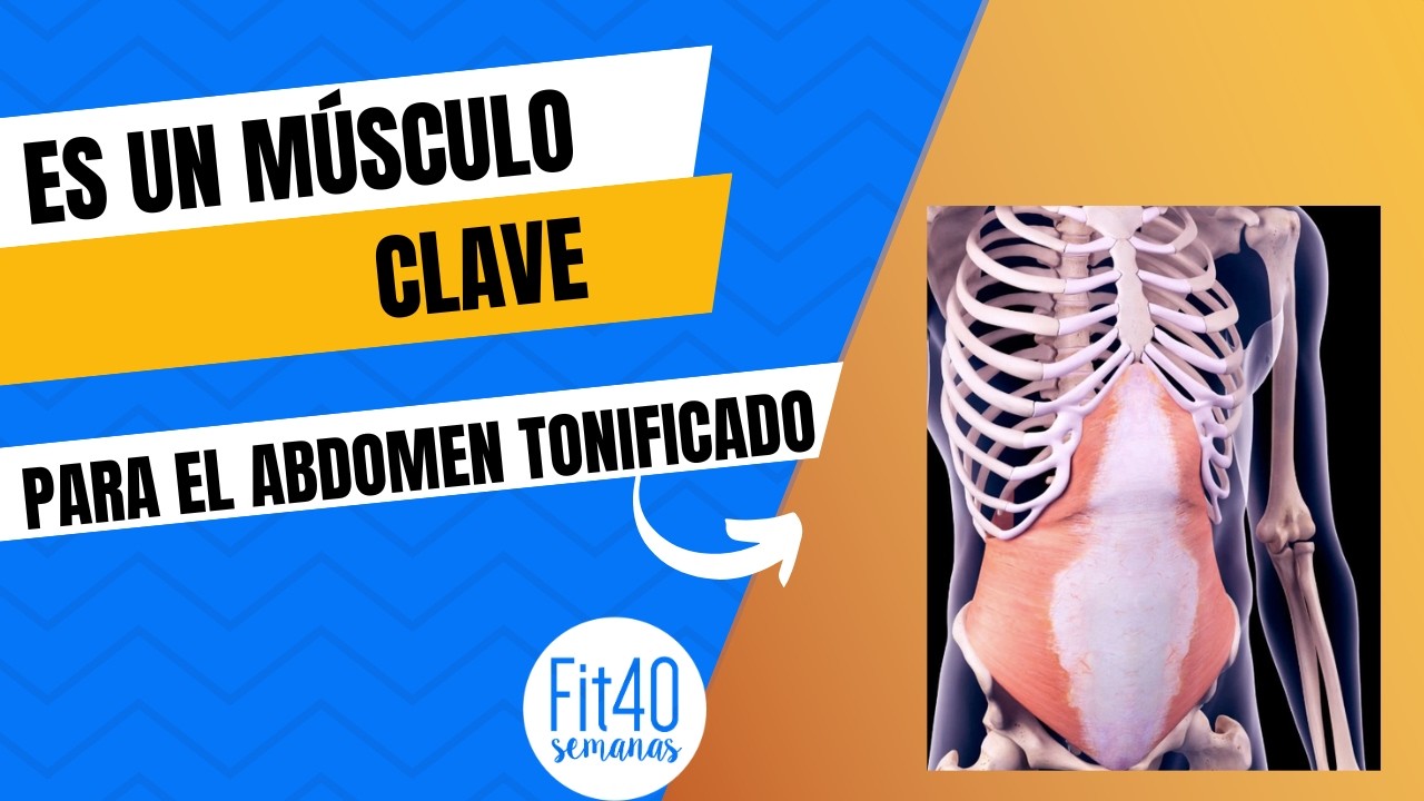 ¿Cómo activar los músculos transversos?