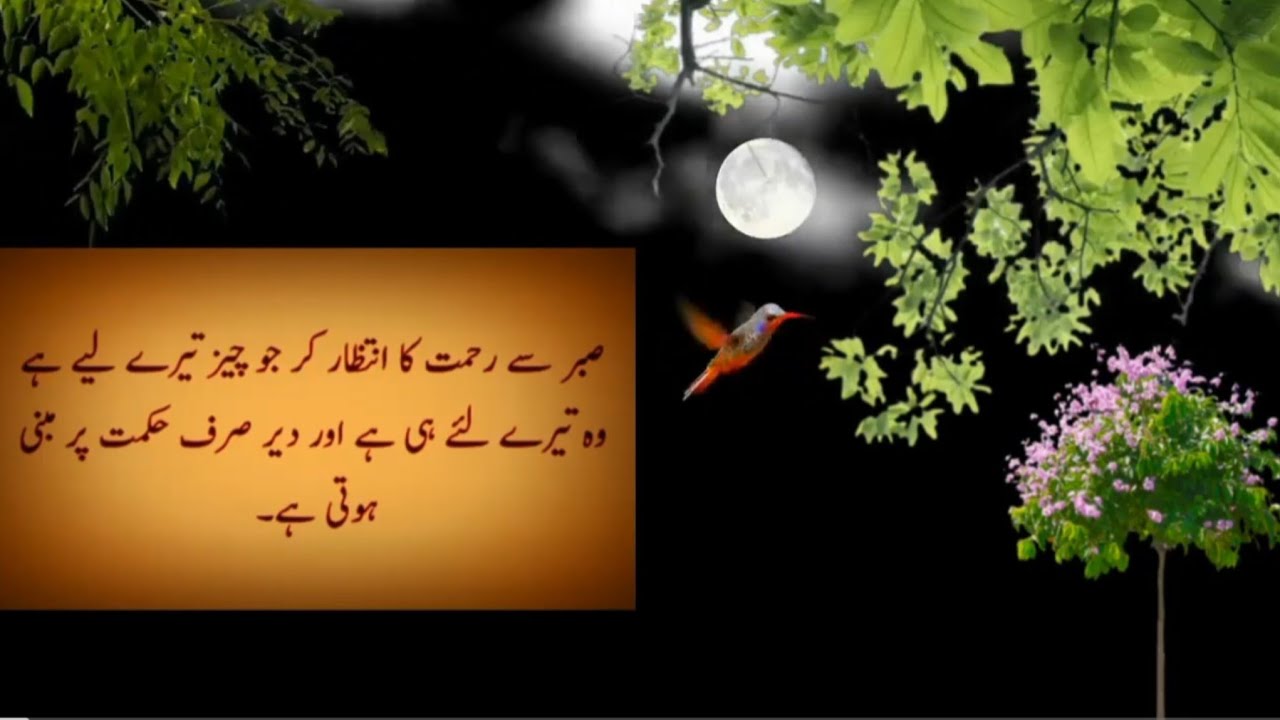Best Islamic Motivational Speech In Urdu Rumi Golden Words Motivational Life Changing Quotes
