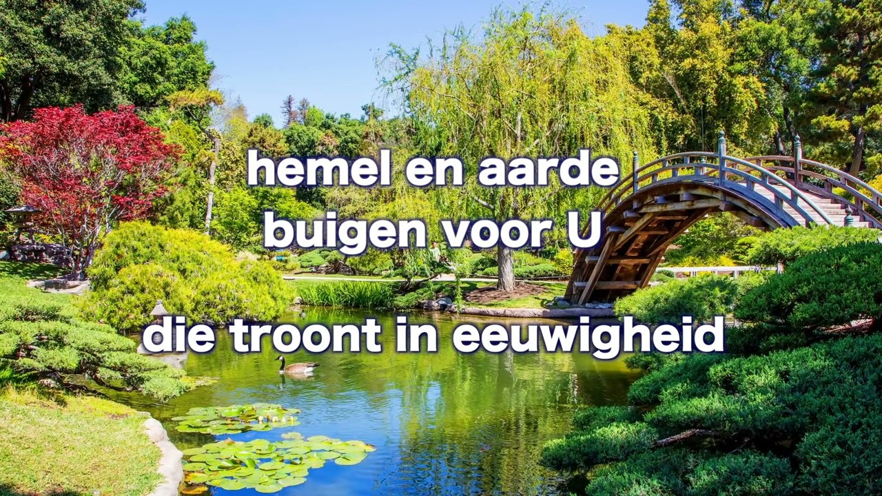 Opwekking 511 Heer van genade