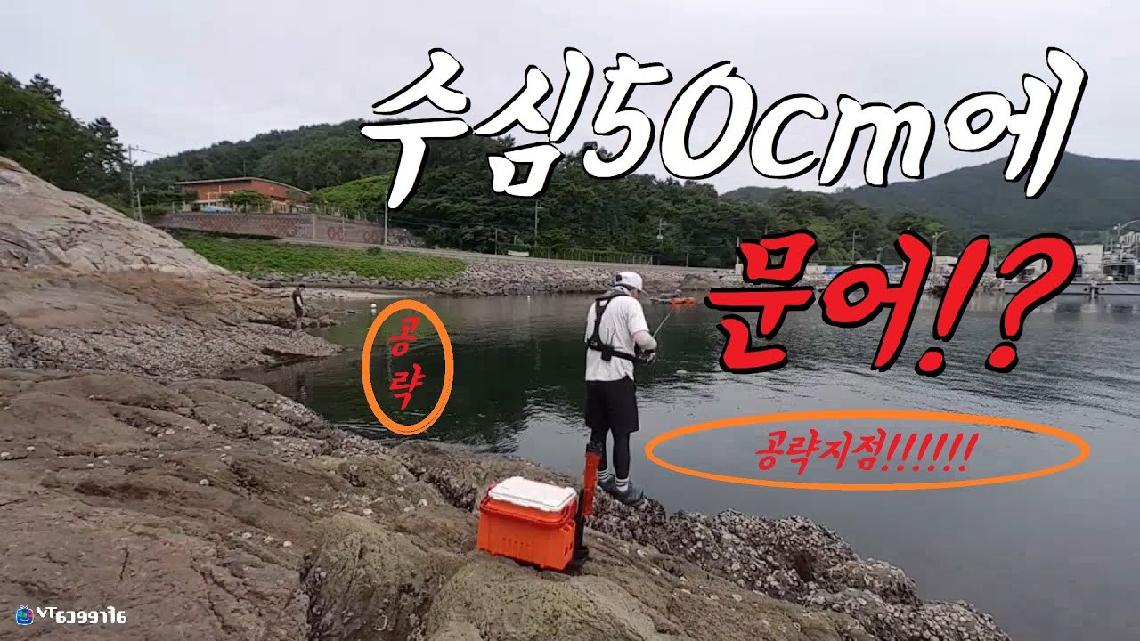 문어를 쉽게 만나는법은 따로 있다!? 남해 워킹문어낚시와 벽치기 그리고 구멍치기까지! octopus fishing