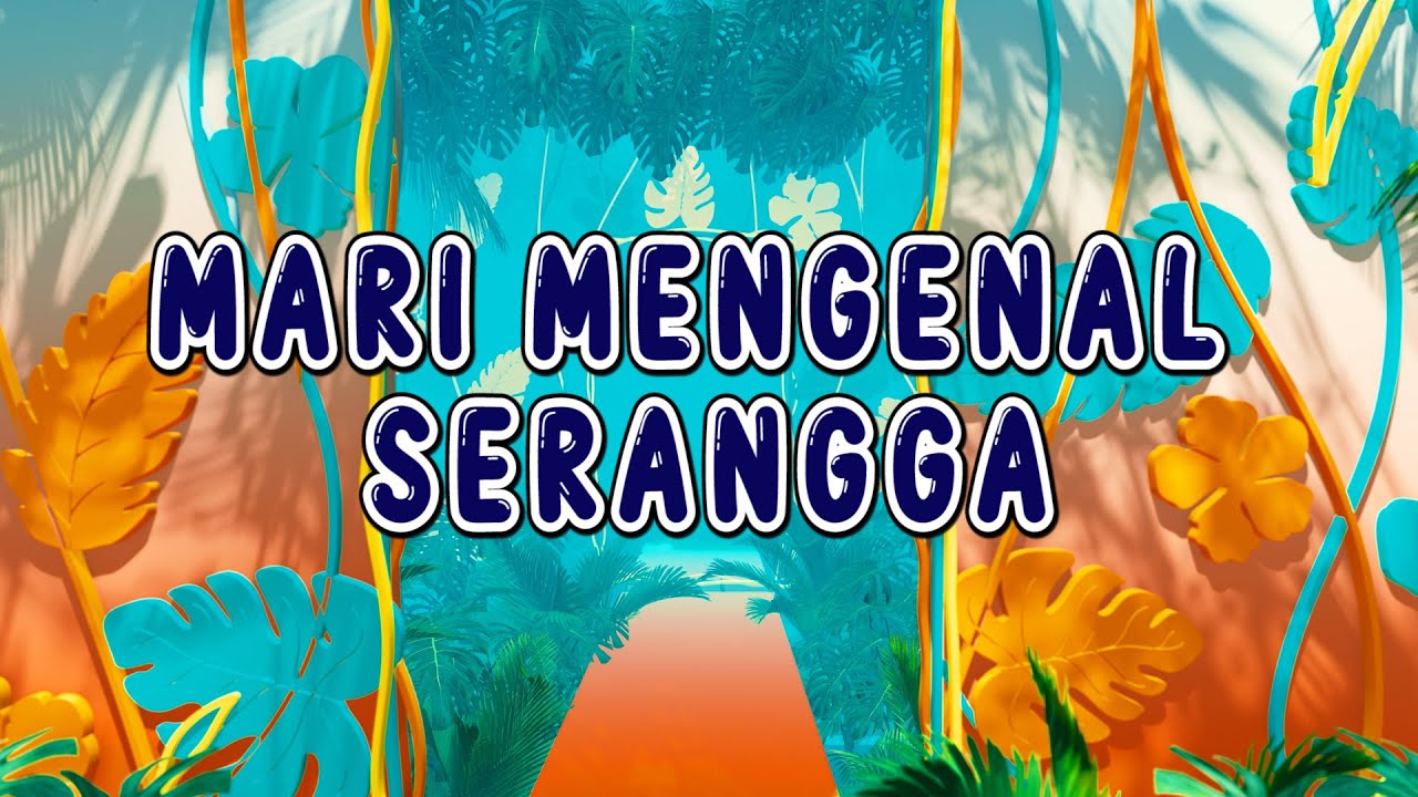 Mengenal Serangga | Insects | Bahasa Melayu & English - Dadidu Kids