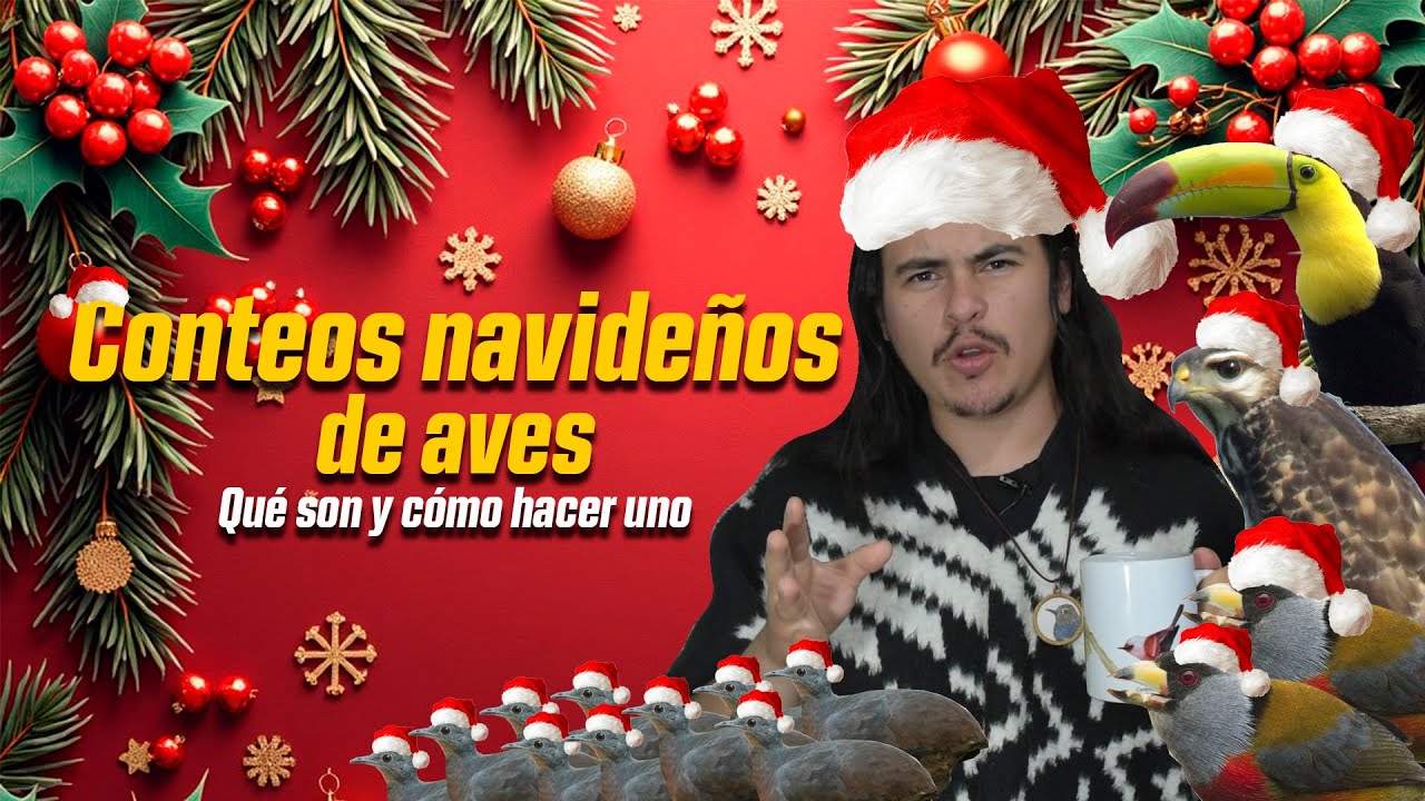 ¿Porqué contamos aves en Navidad? | Christmas Bird Count