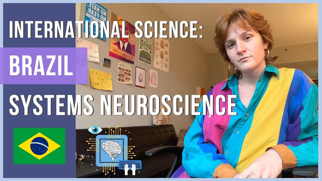 Visual Perception, Brain Oscillations and Schizophrenia: Systems Neuroscience. Georgia Bastos | Mel