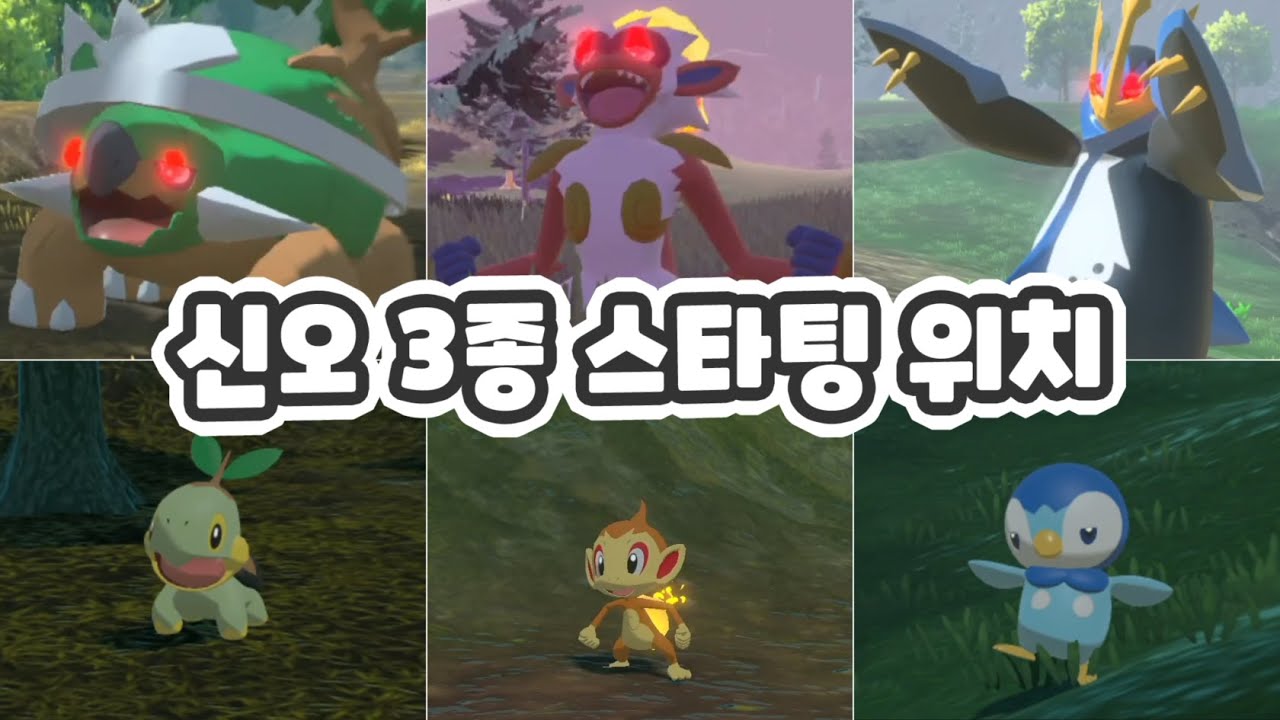 신오 3종 스타팅 위치 / 레전드 아르세우스