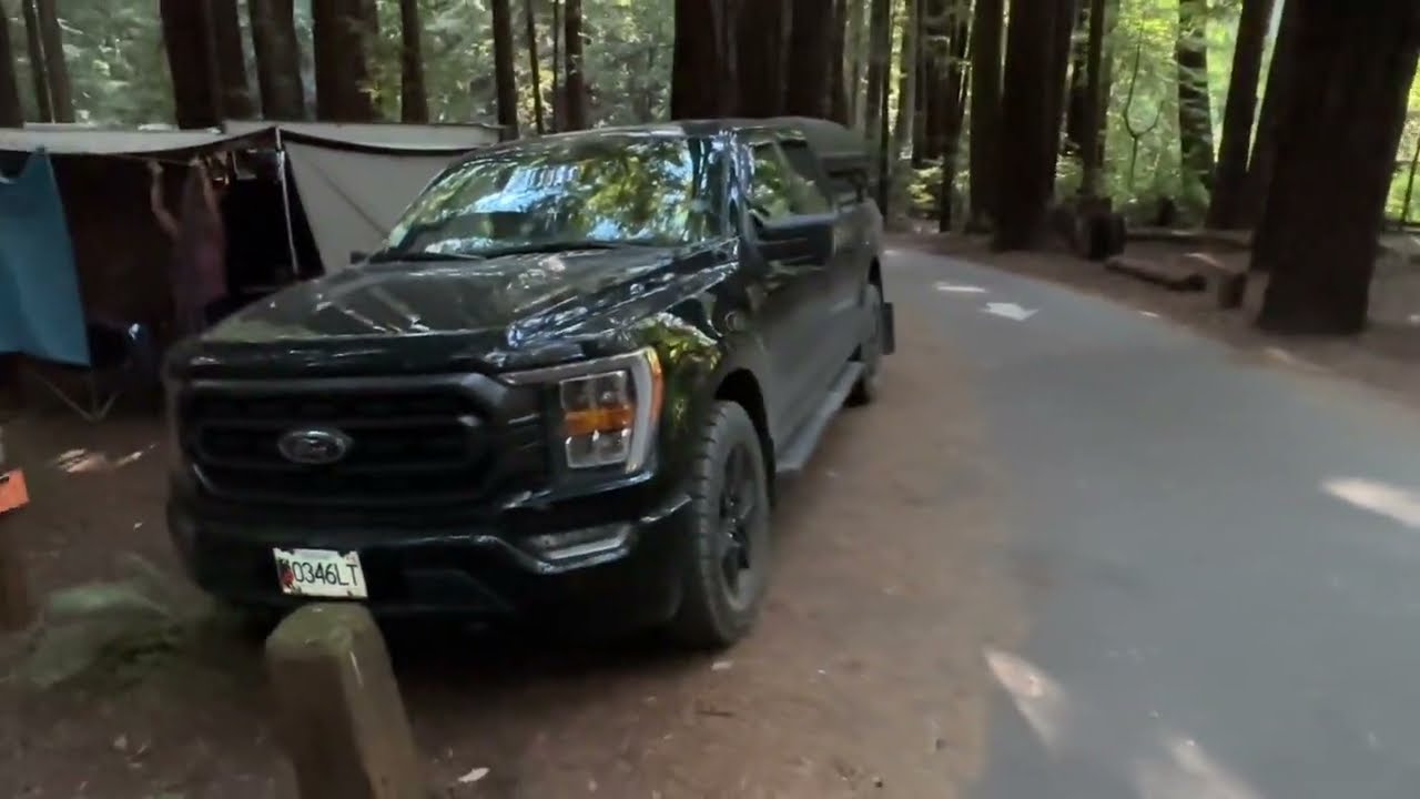 Oregon/California Pt 11, Avenue of Giants Pt2