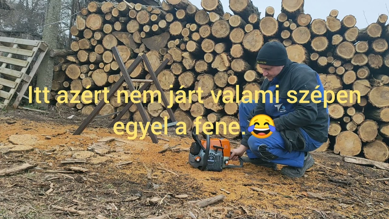 Holzfforma g366.A kis rakoncátlan.😉