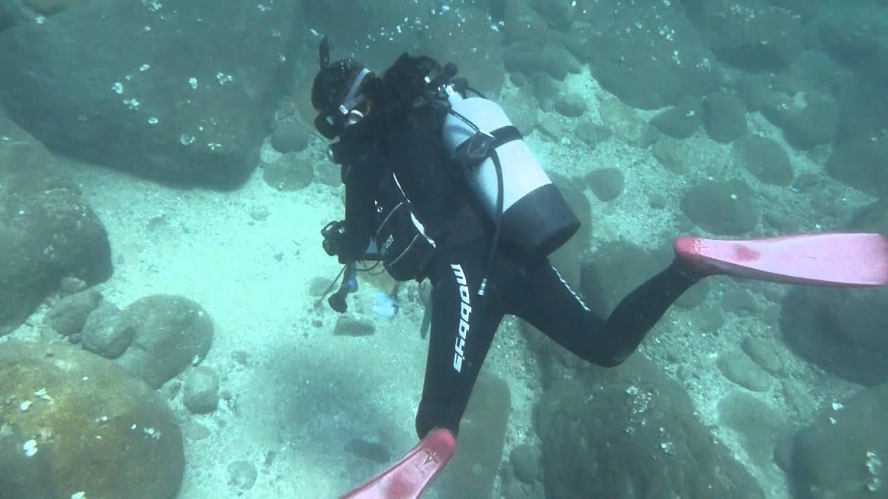 2012-08-04 越前中部・学校下プール前ダイビング