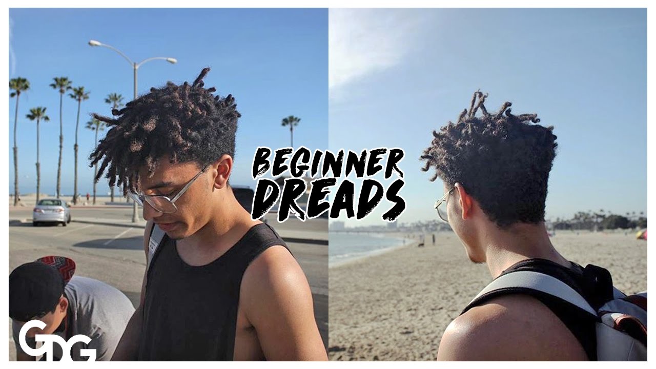 Beginner Dreads