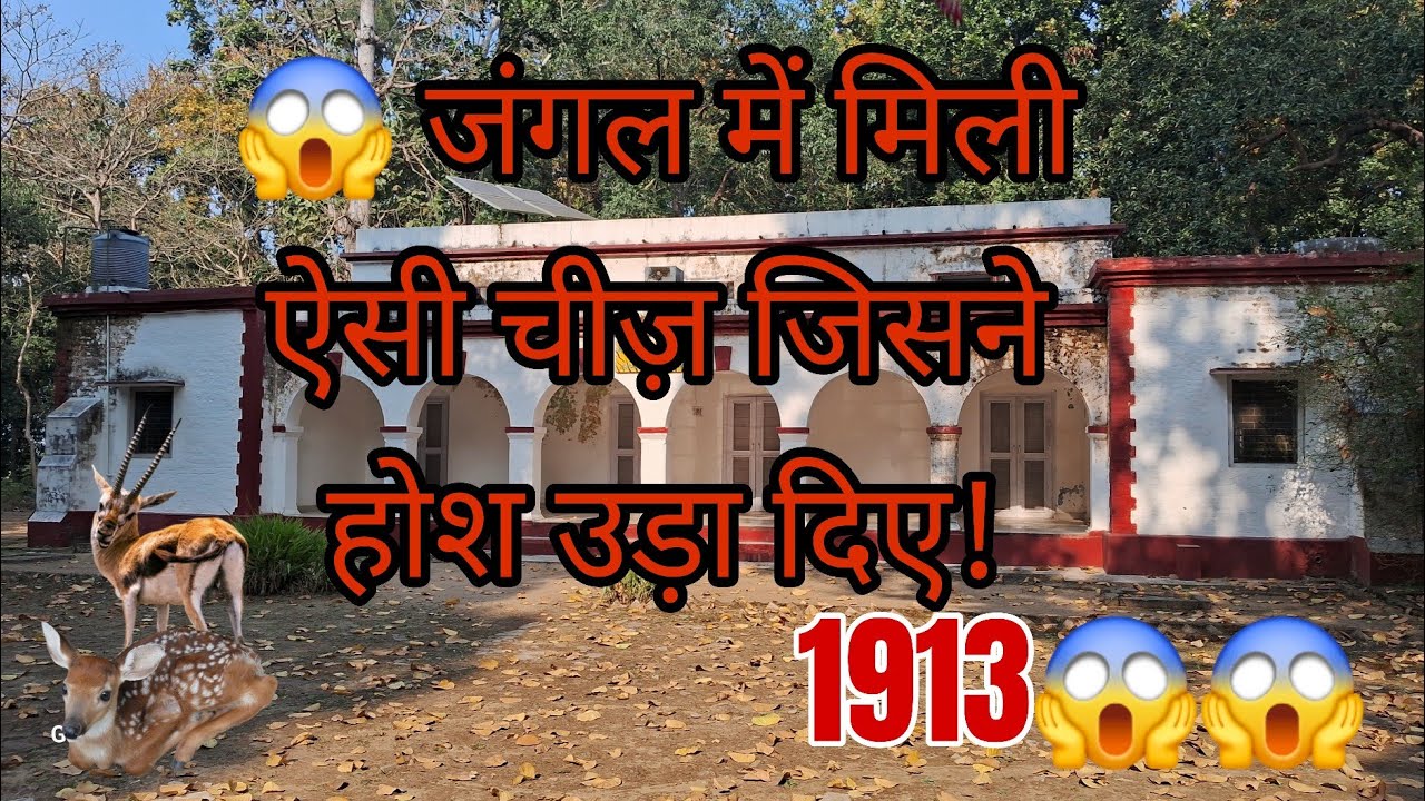 जंगल की गहराइयों में: सबसे खतरनाक सफर! 🌲🔥