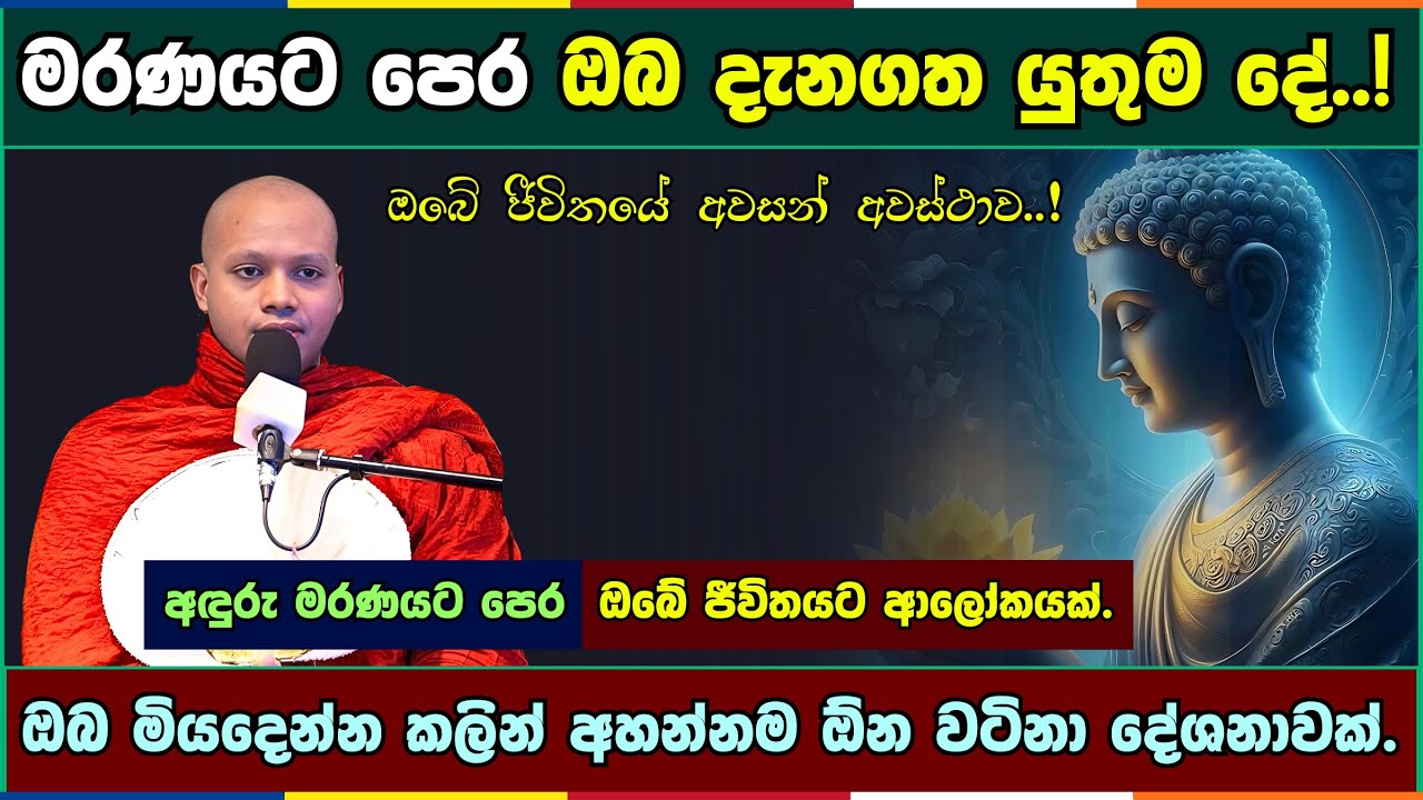 මරණයට පෙර ඔබ දැනගත යුතුම දේ..! | Hasalaka seelavimala thero | හසලක සීලවිමල හිමි | #බණ #ධර්මදේශනා