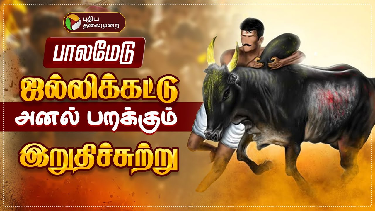 🔴LIVE: பாலமேடு ஜல்லிக்கட்டு- அனல் பறக்கும் இறுதிச்சுற்று | Madurai Palamedu Jallikattu