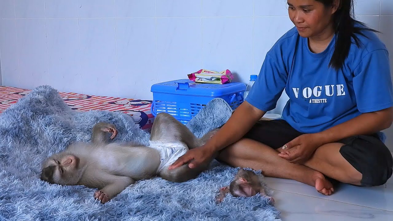 Smart Mommy Luna With Baby Luka Taking Nap Routine