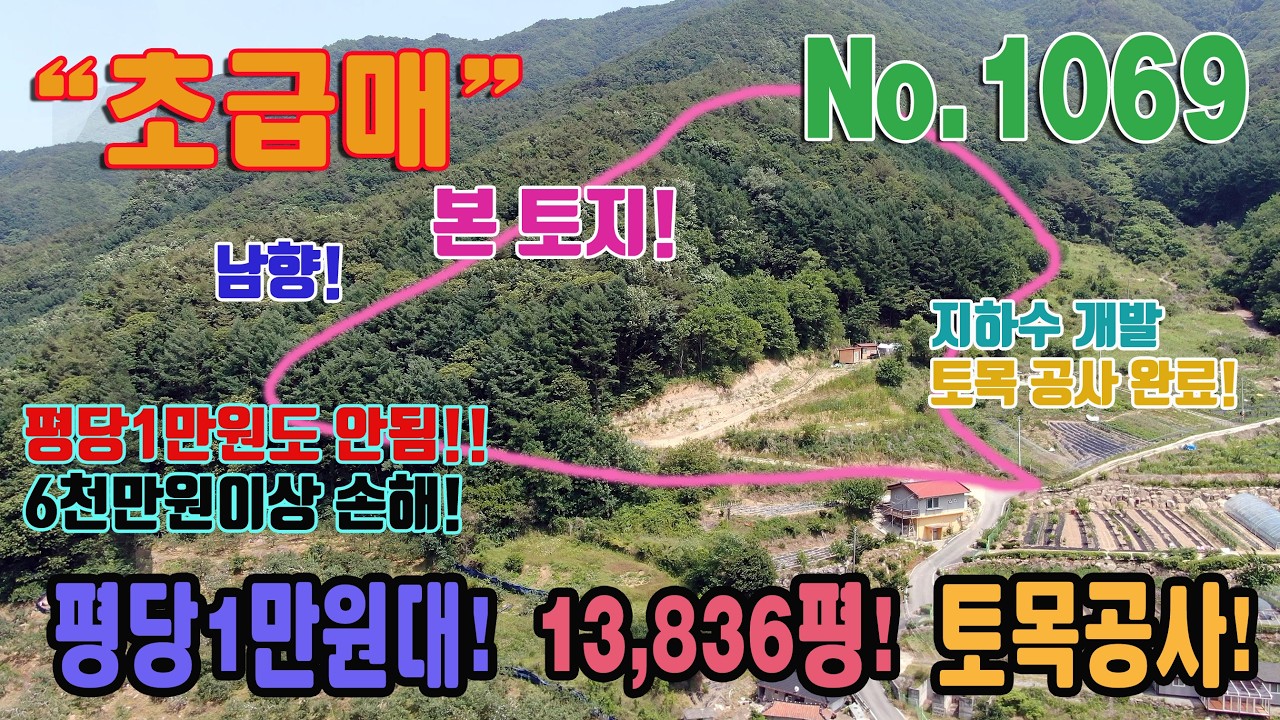 급매 평당 1만원도 안됨 대박 총 45739㎡ 13,836평 관리지역 2335평 토목공사 완료 지하수 개발 소백산 계곡 주변 자연인 땅 충북 단양군 대강면 용부원리 토지 임야 매매