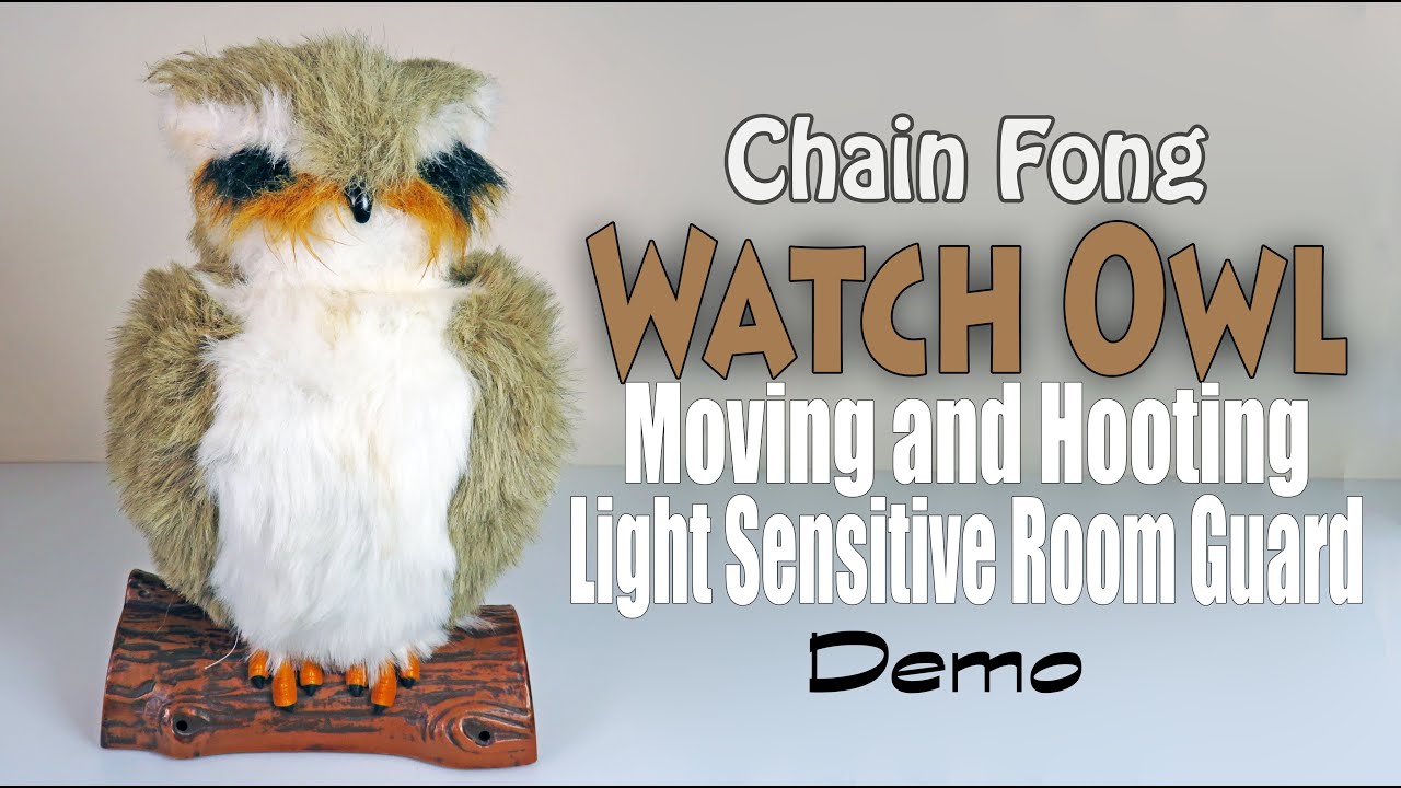SOLD - Watch Owl - Moving and Hooting Owl - Light Sensitive Room Guard - Chain Fong