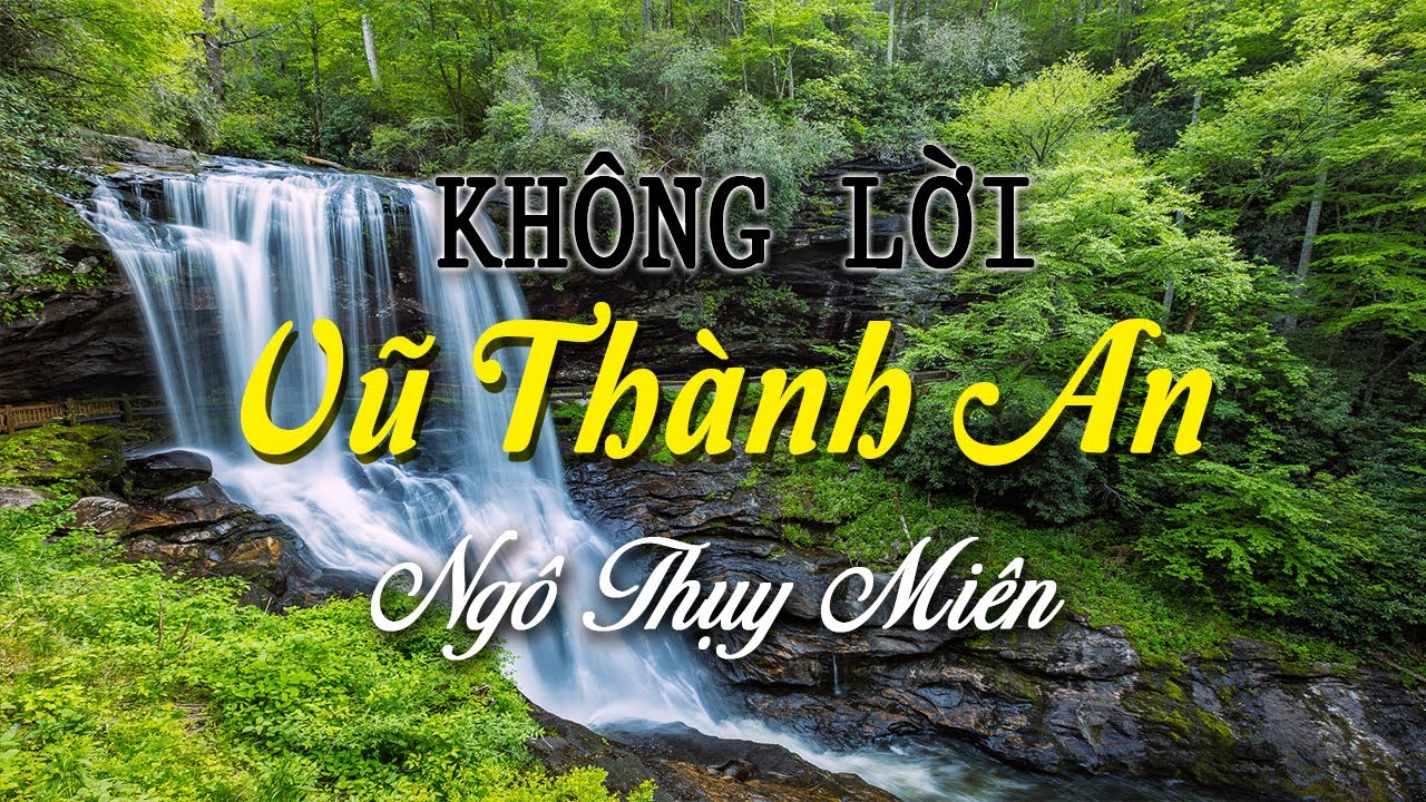 Nhạc Không Lời Những Tình Khúc Hay Nhất Của Ns Vũ Thành An, Ngô Thụy Miên, Trịnh Công Sơn