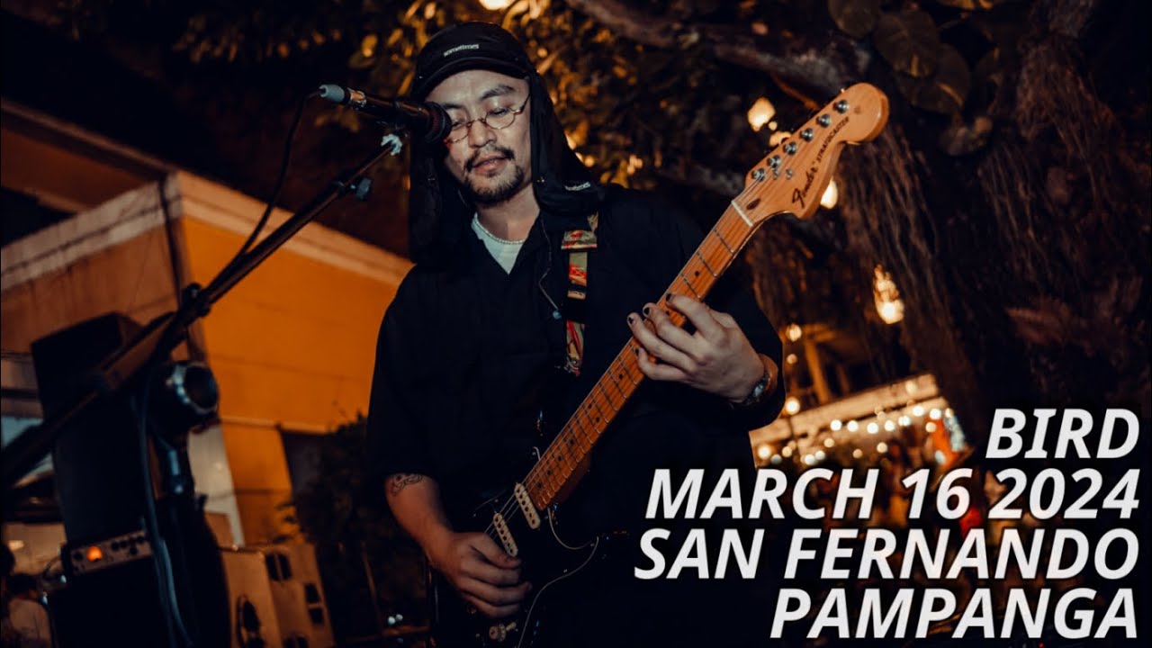 BIRD - MARCH 16, 2024 (PAYA STREET COFFEE SAN FERNANDO PAMPANGA)