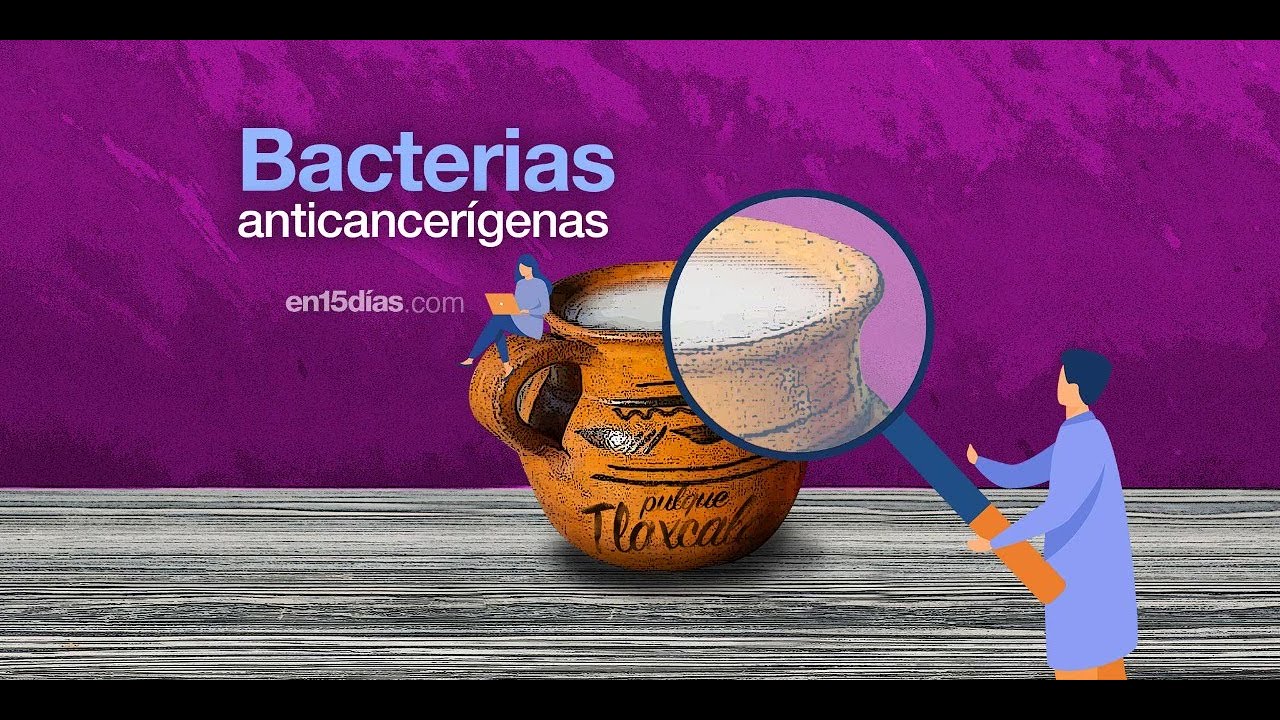 Bacterias del pulque mexicano inhiben 40% el c&aacute;ncer de colon