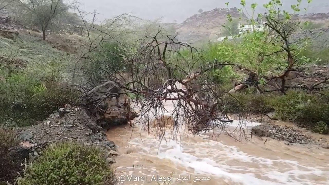 أمطار أبيان بالعرضية الجنوبية الجمعة ٦ نوفمبر ٢٠٢٠ الموافق ١٤٤٢/٣/٢٠