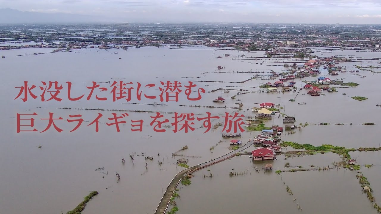 大洪水で水没した街にバズベイトを1,000回キャストしてきた2025年12月のフィリピン、パンパンガ州トーマン釣り合宿。たしかに巨大トーマンは…居た！